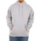 Hanes Ultimate Heavyweight Pullover Hoodie - Other View: 1