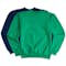 Hanes EcoSmart® 50/50 Crewneck Sweatshirt