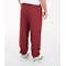 Champion Fleece Sweatpants - Other View: 2