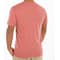 Threadfast Tri-blend T-shirt - Other View: 2